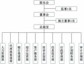 保險(xiǎn)代理公司的組織結(jié)構(gòu)與技術(shù)服務(wù)體系
