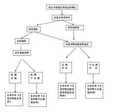 化學品進出口 批發渠道與價格策略詳解